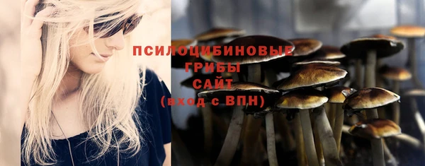 тгк Алзамай
