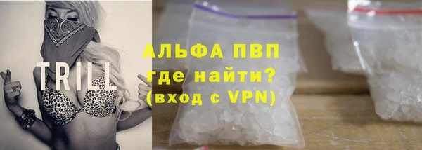 тгк Алзамай