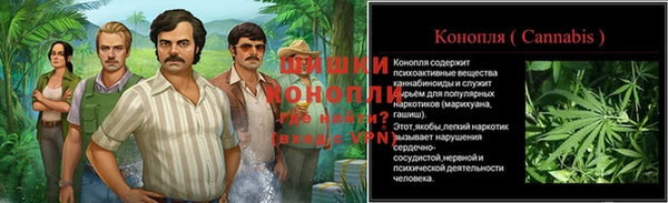 ГАЛЛЮЦИНОГЕННЫЕ ГРИБЫ Алексеевка