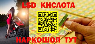 прущие грибы Когалым