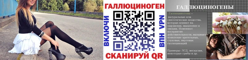 Галлюциногенные грибы Psilocybine cubensis маркетплейс клад Кондопога купить наркотик