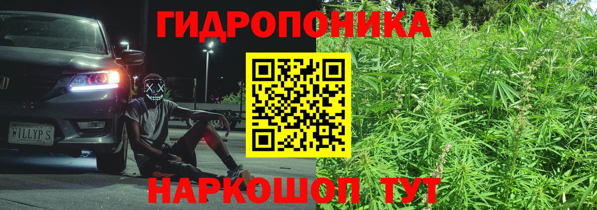 Марихуана White Widow  Вход с VPN  Бошки марихуана планчик  Кондопога  Бошки Шишки MAZAR  МАРИХУАНА MAZAR 